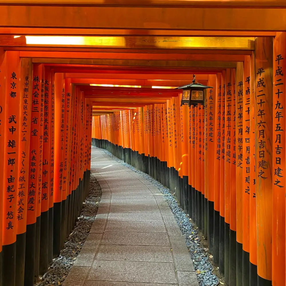 Torii gates at Fushimi Inari, Kyoto